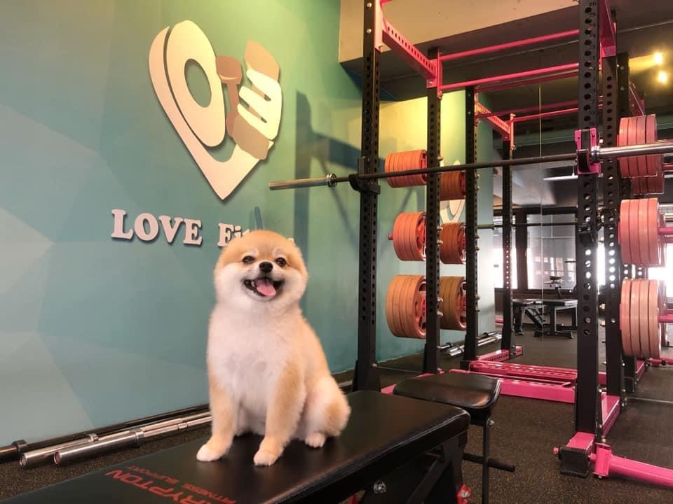 台南東區健身房推薦:愛·健身 LOVE Fitness